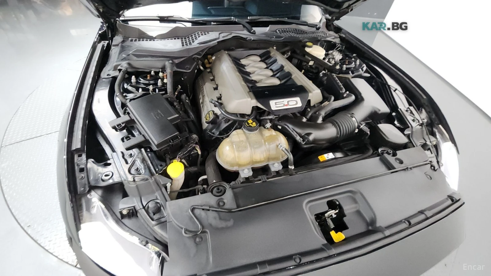 Ford Mustang GT PREMIUM / SHELBY PKG / CARBON, снимка 6 - Автомобили и джипове - 55010434