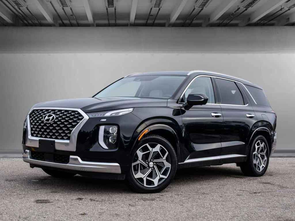 Hyundai Palisade  CARFAX