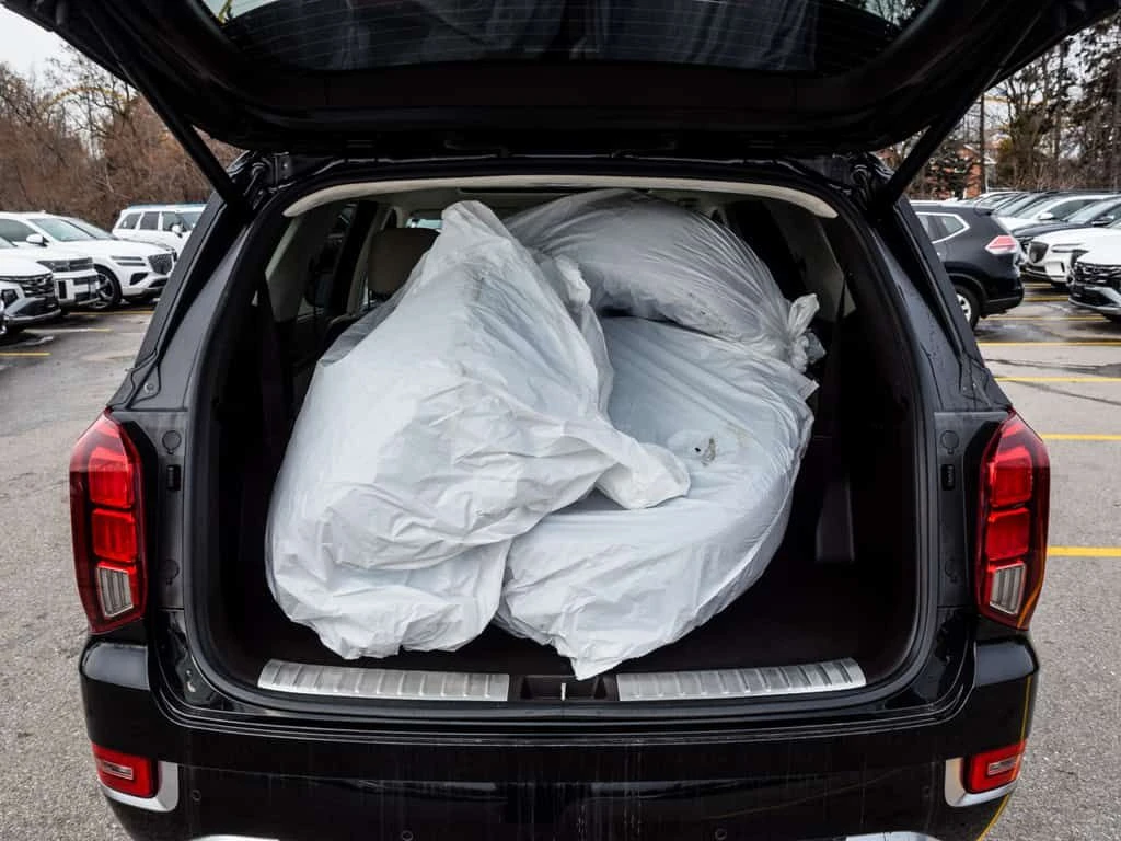 Hyundai Palisade  CARFAX - изображение 9