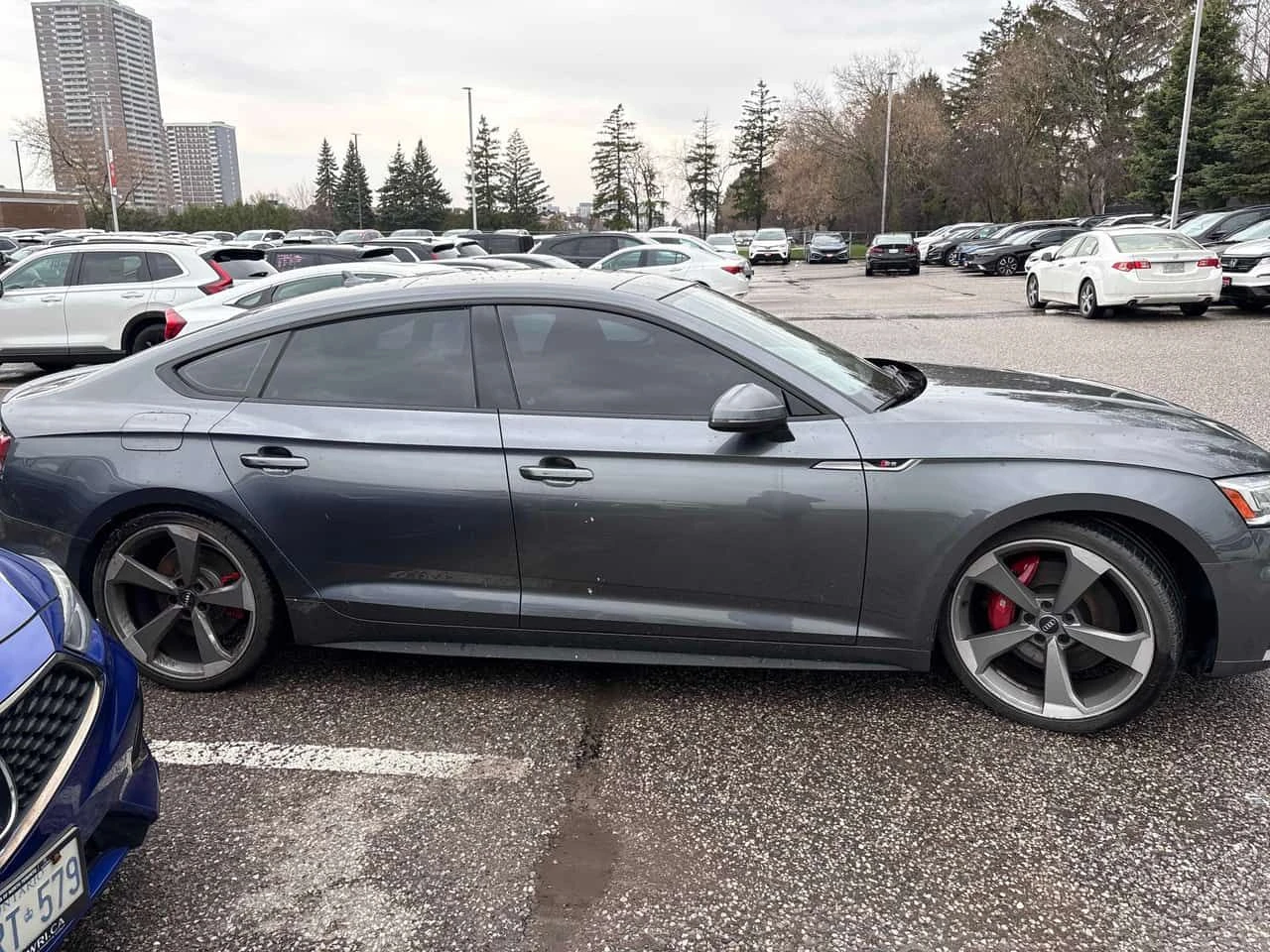 Audi S5 * Technik * ГЛАВНО ПРЕДСТАВИТЕЛСТВО* ДИСТРОНИК* , снимка 4 - Автомобили и джипове - 54225557