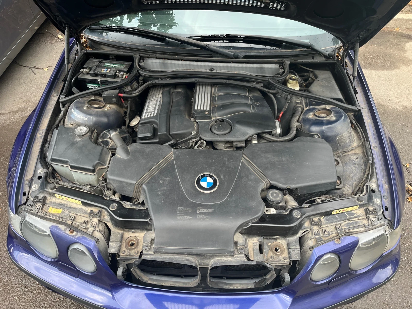 BMW 316 Individual  - изображение 8