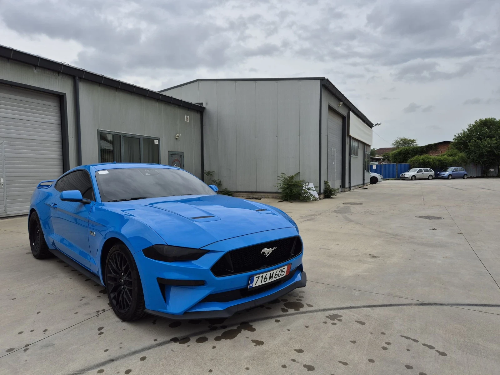 Ford Mustang Platinum GT 5.0 - 20 000km | Mobile.bg   2