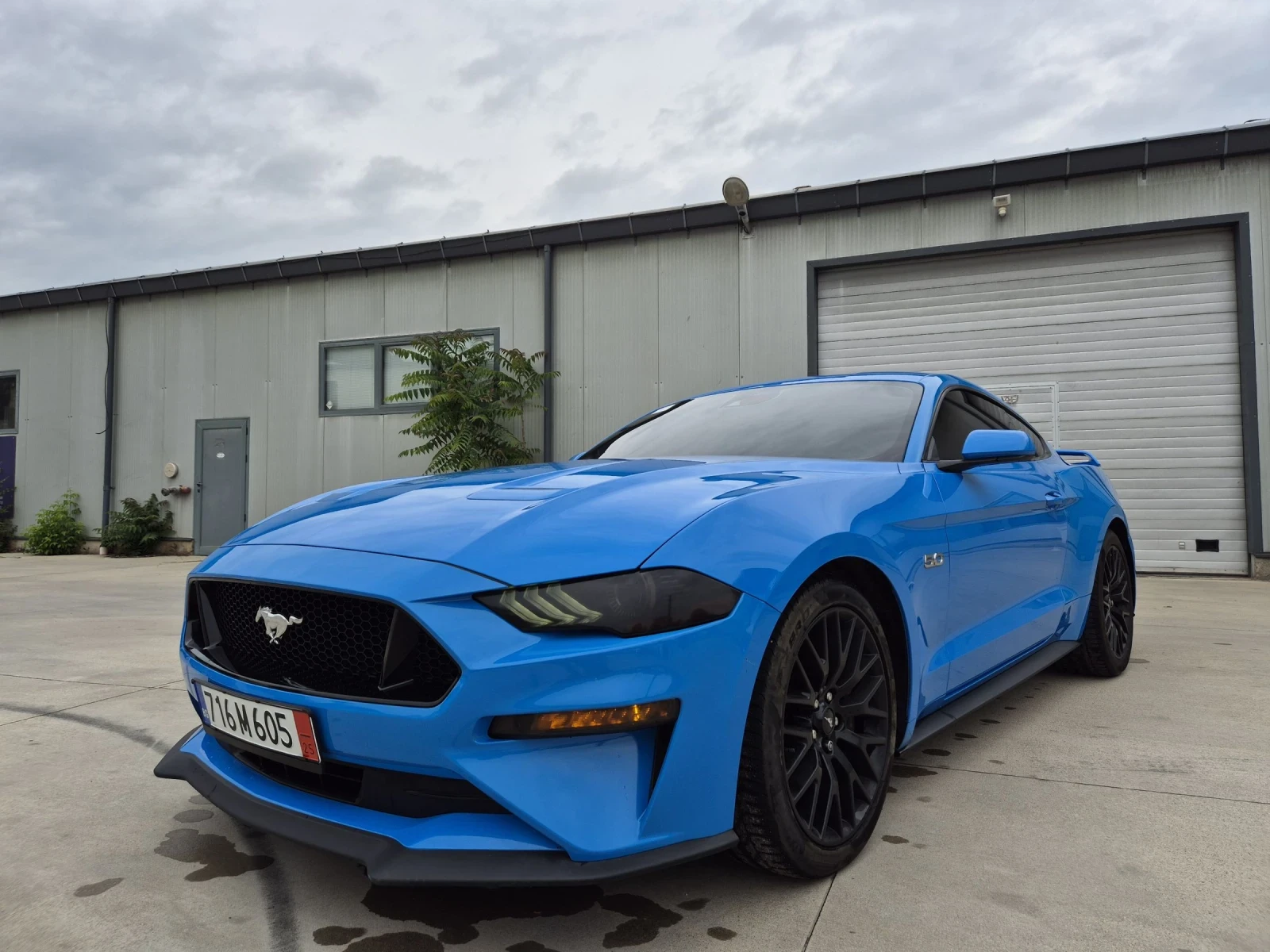 Ford Mustang Platinum GT 5.0 - 20 000km | Mobile.bg   8