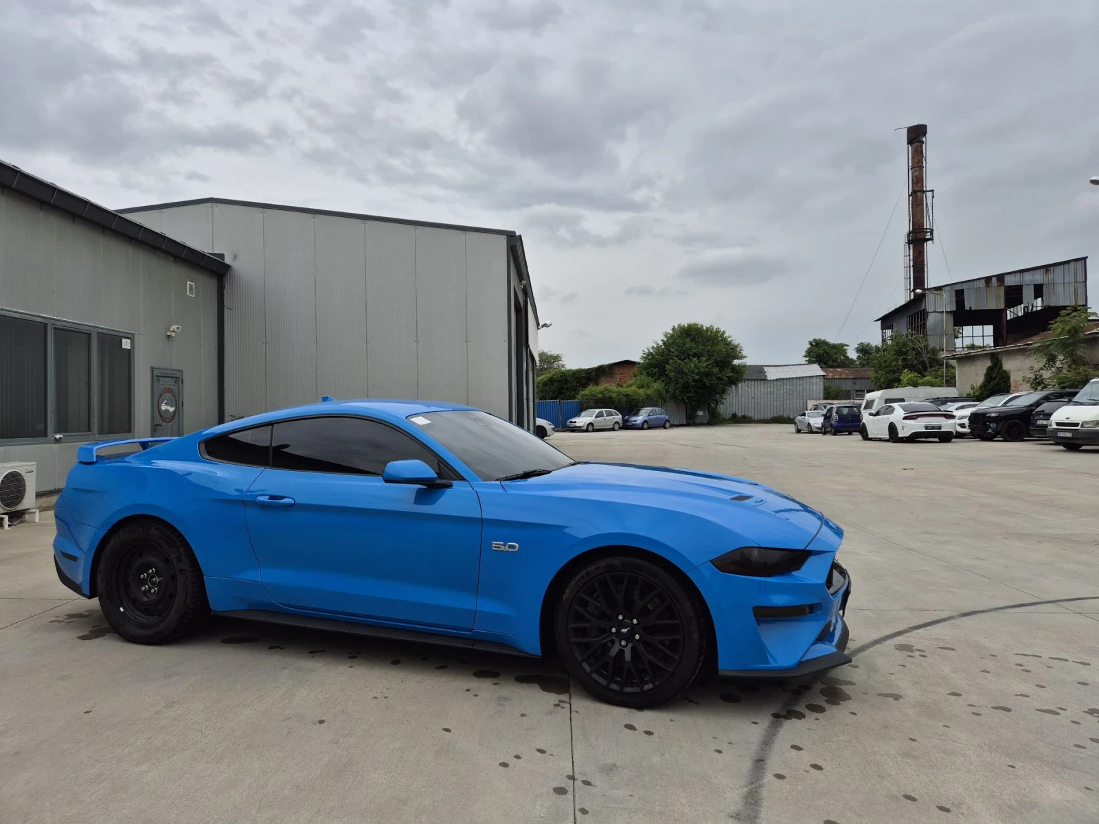 Ford Mustang Platinum GT 5.0 - 20 000km | Mobile.bg   4