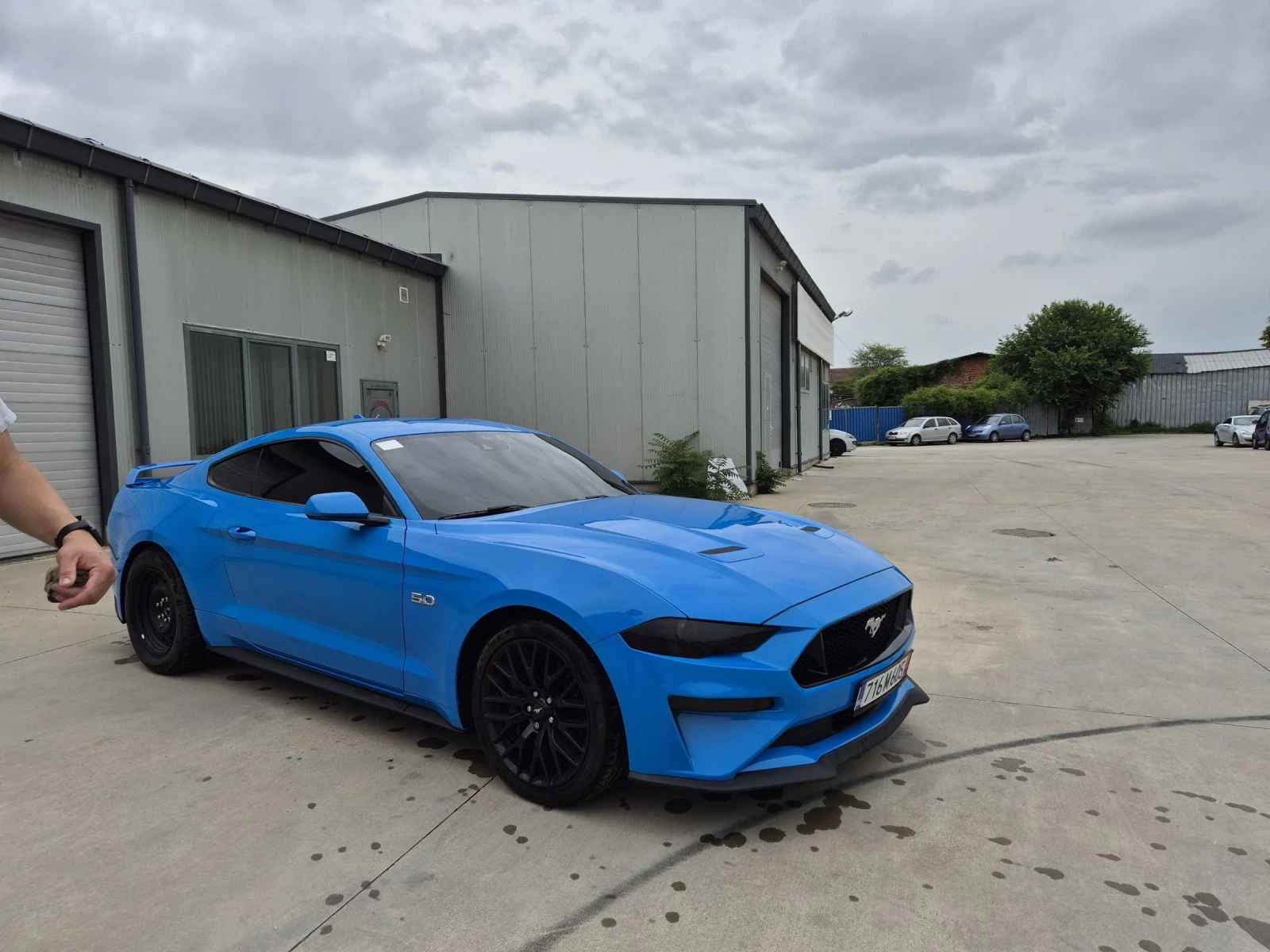 Ford Mustang Platinum GT 5.0 - 20 000km | Mobile.bg   3