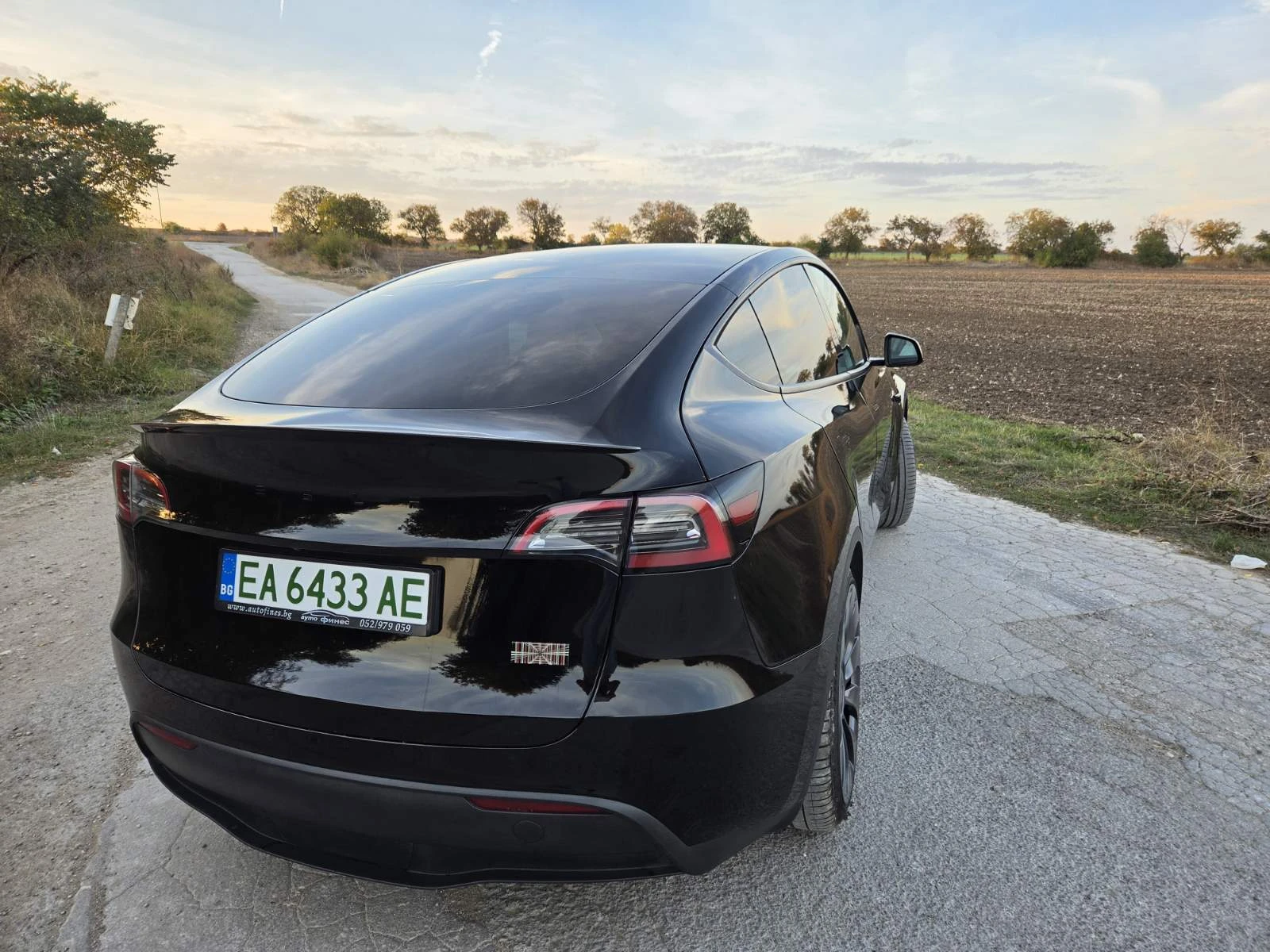 Tesla Model Y, снимка 3 - Автомобили и джипове - 56433256