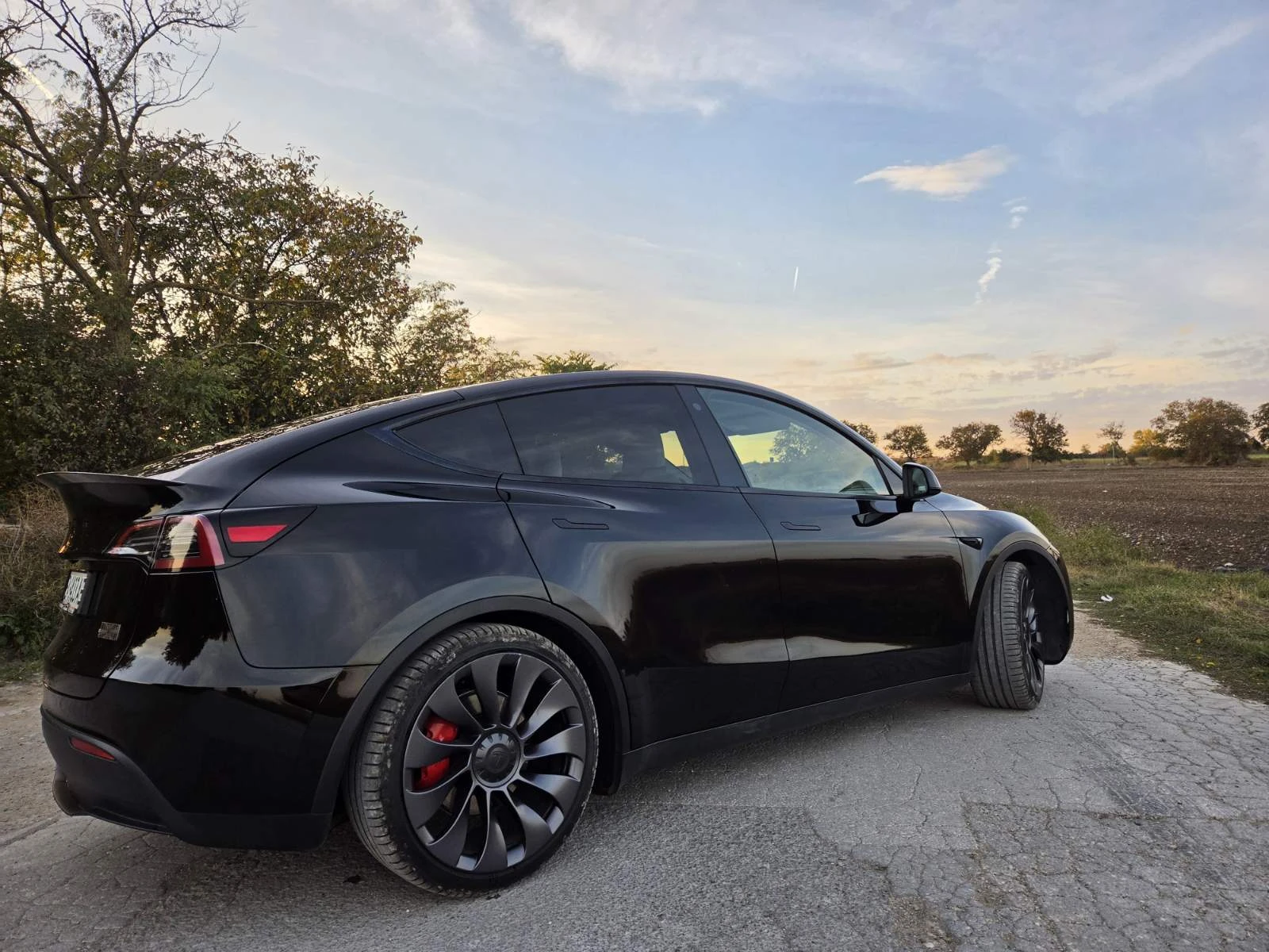 Tesla Model Y, снимка 2 - Автомобили и джипове - 56433256
