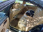 Обява за продажба на Peugeot 607 2.2 hdi ~3 500 лв. - изображение 11