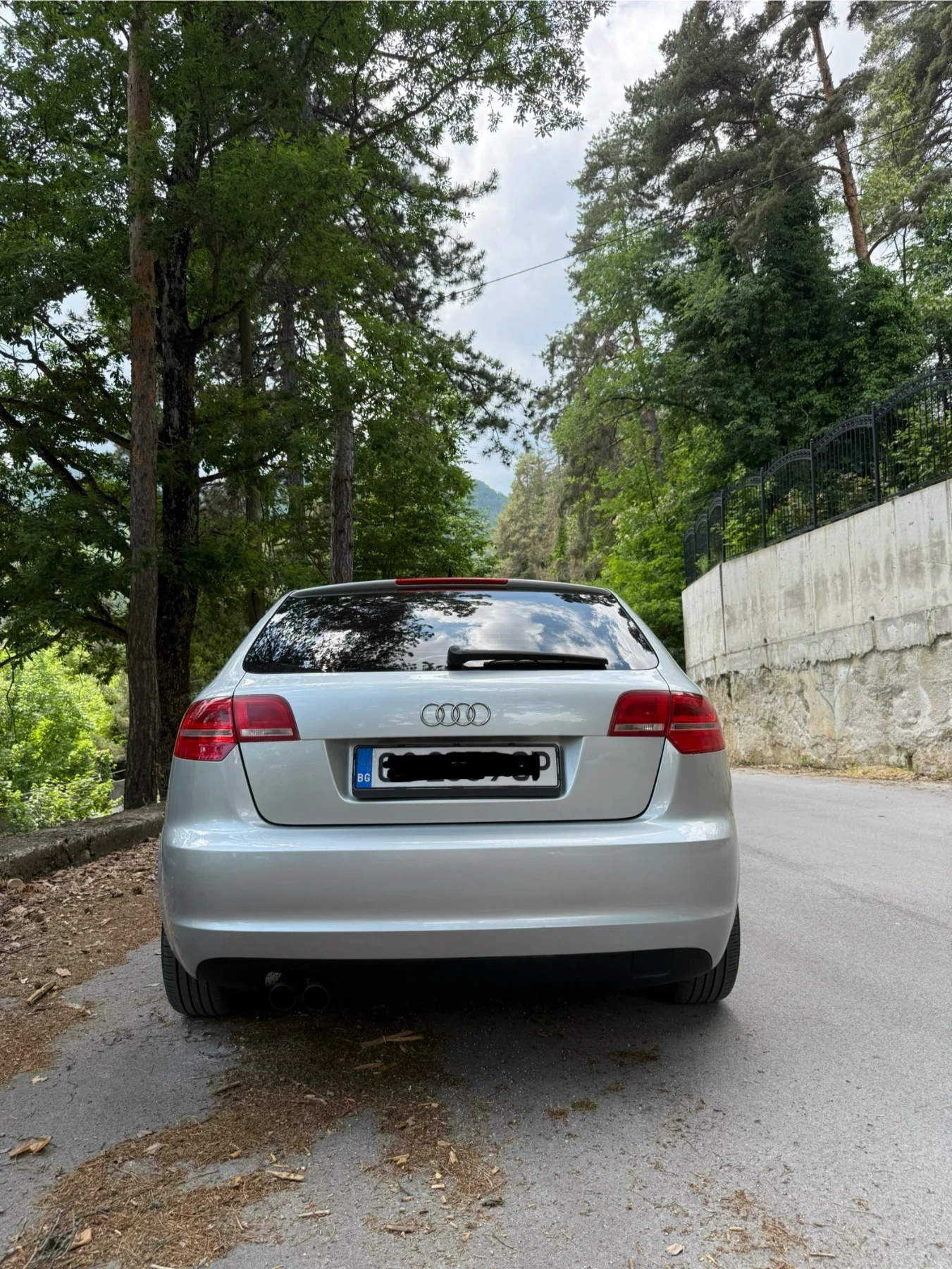 Audi A3 1.9 tdi, снимка 5 - Автомобили и джипове - 54806003