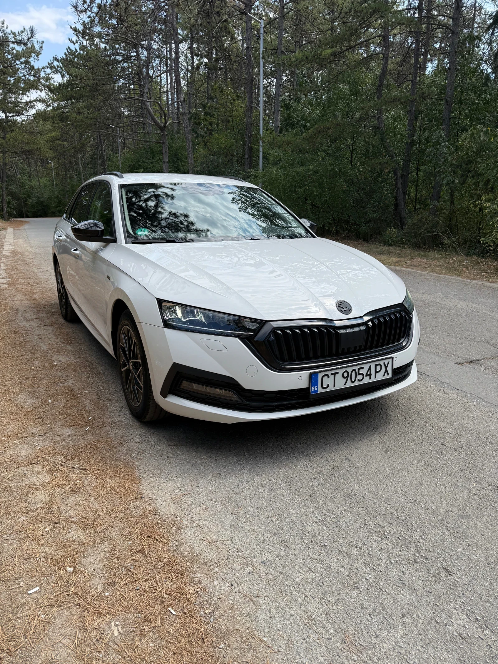 Skoda Octavia Skoda Octavia 1.5 Etsi E-tec CLEVER