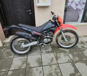 ����� �� �������� �� Beta Alp