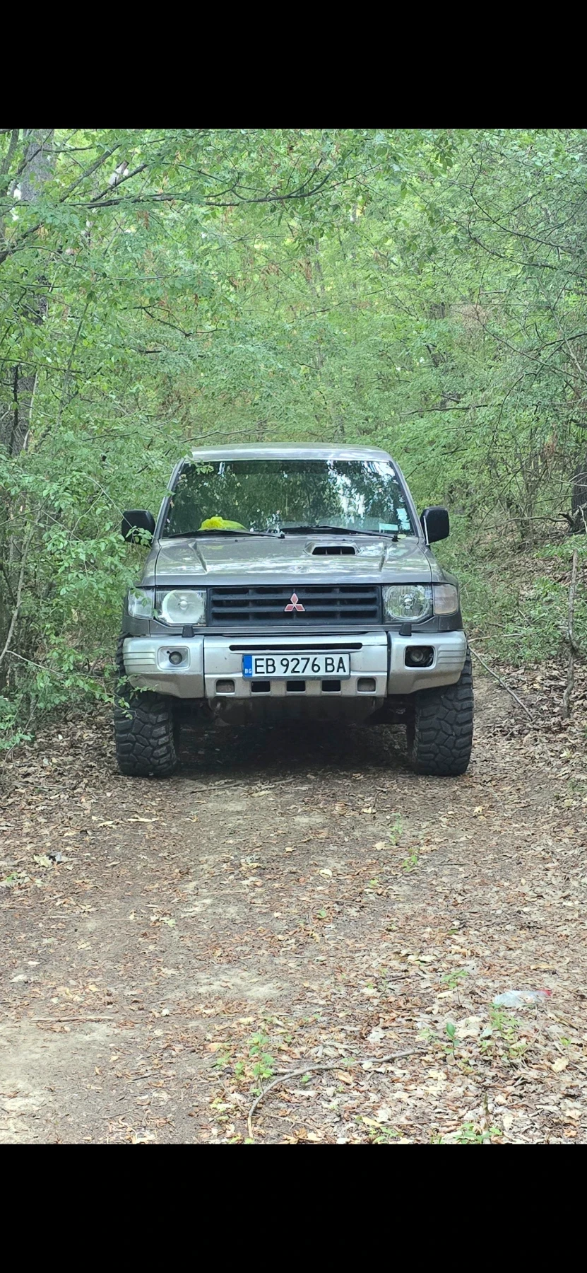 Mitsubishi Pajero  - изображение 3