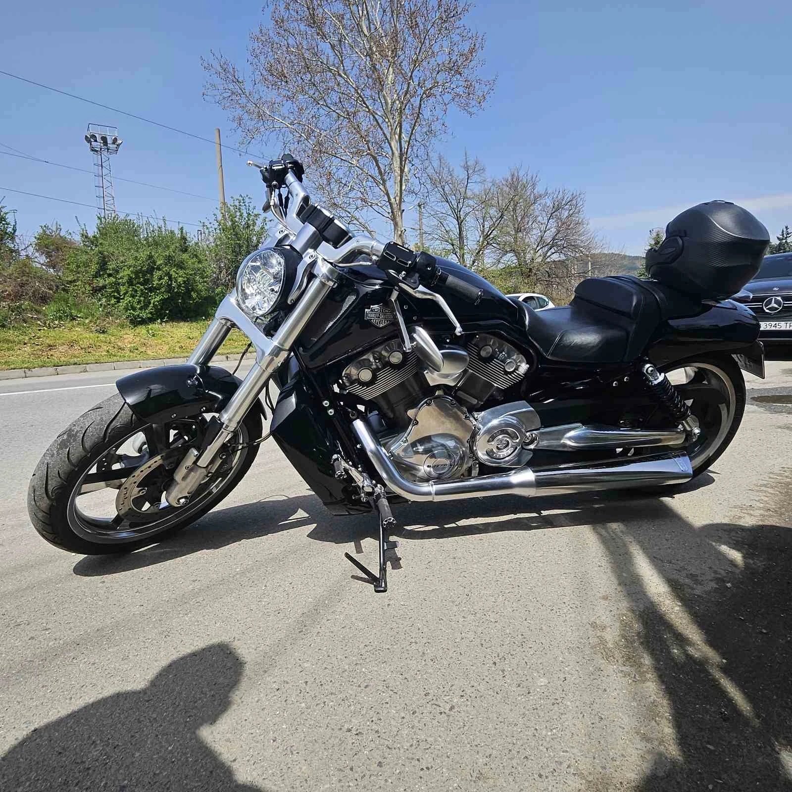 Harley-Davidson V-Rod  - изображение 7