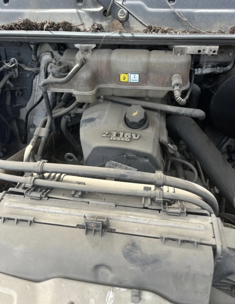 Iveco Daily 35S14HPT, снимка 6 - Бусове и автобуси - 49567746