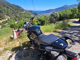 Honda Hornet 919, снимка 5
