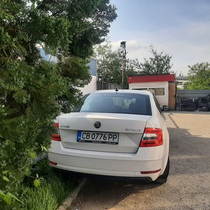 Skoda Octavia 1.6TDI, снимка 5 - Автомобили и джипове - 46584751