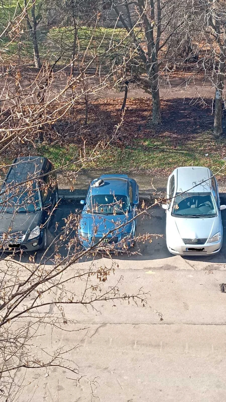 Audi Tt  - изображение 8