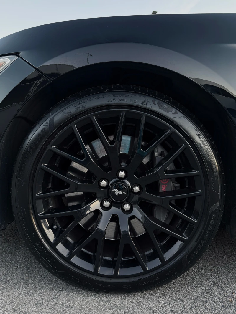 Ford Mustang Mustang GT Premium + Performance Package, снимка 10 - Автомобили и джипове - 52598142