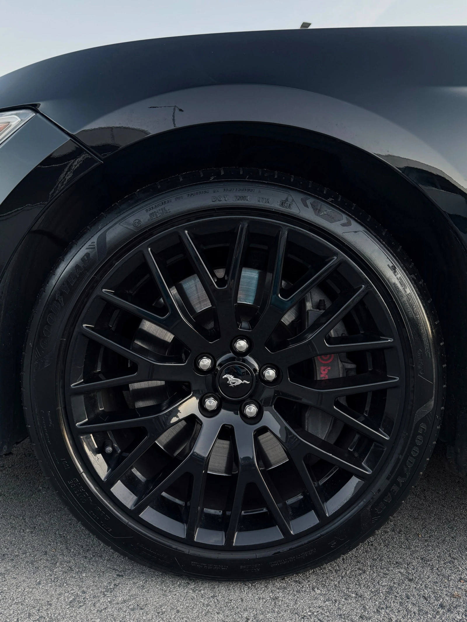 Ford Mustang Mustang GT Premium + Performance Package - изображение 10