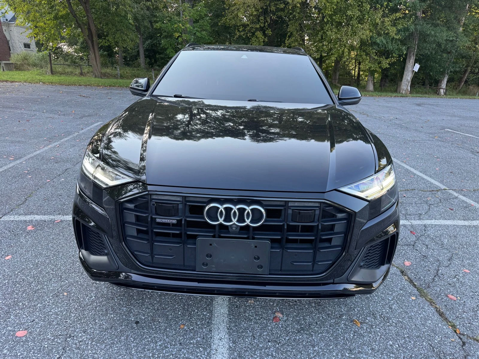 Audi Q8 Premium Plus | Mobile.bg   2