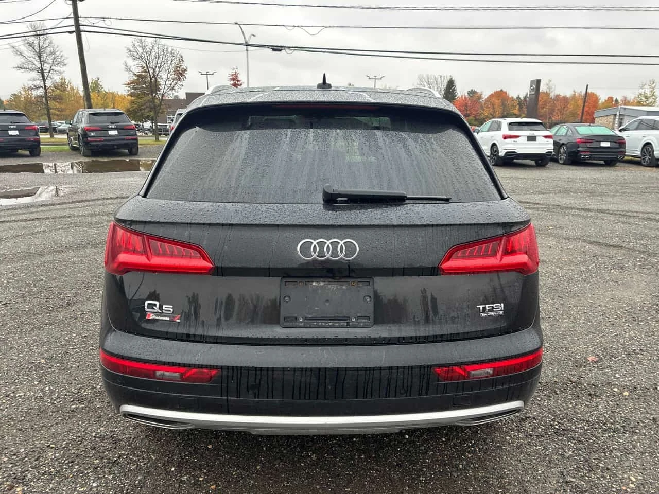 Audi Q5 Progressiv / Carfax / ����������  | Mobile.bg � ����������� 4