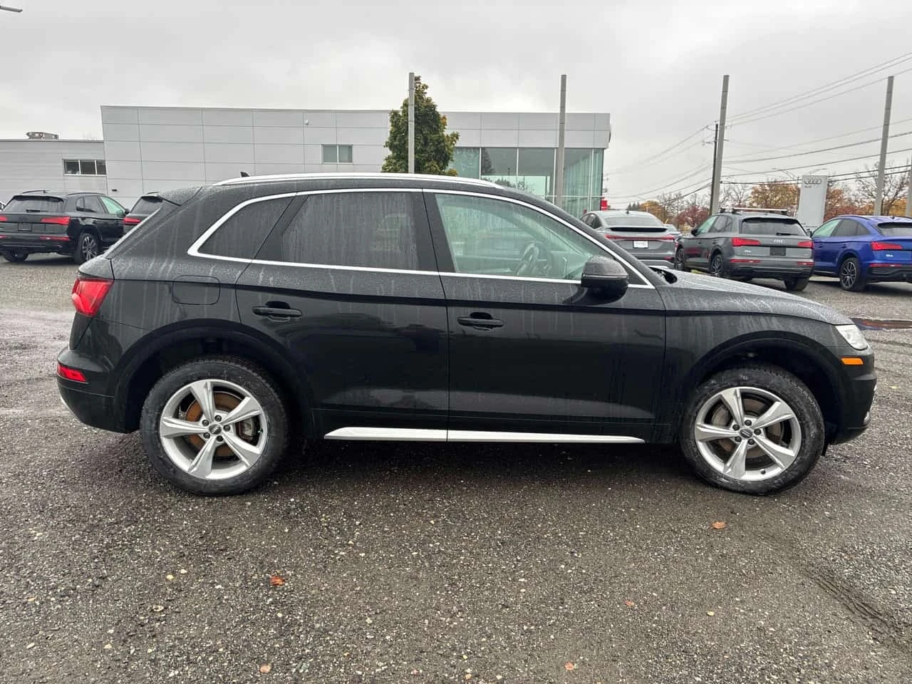 Audi Q5 Progressiv / Carfax / ����������  | Mobile.bg � ����������� 3