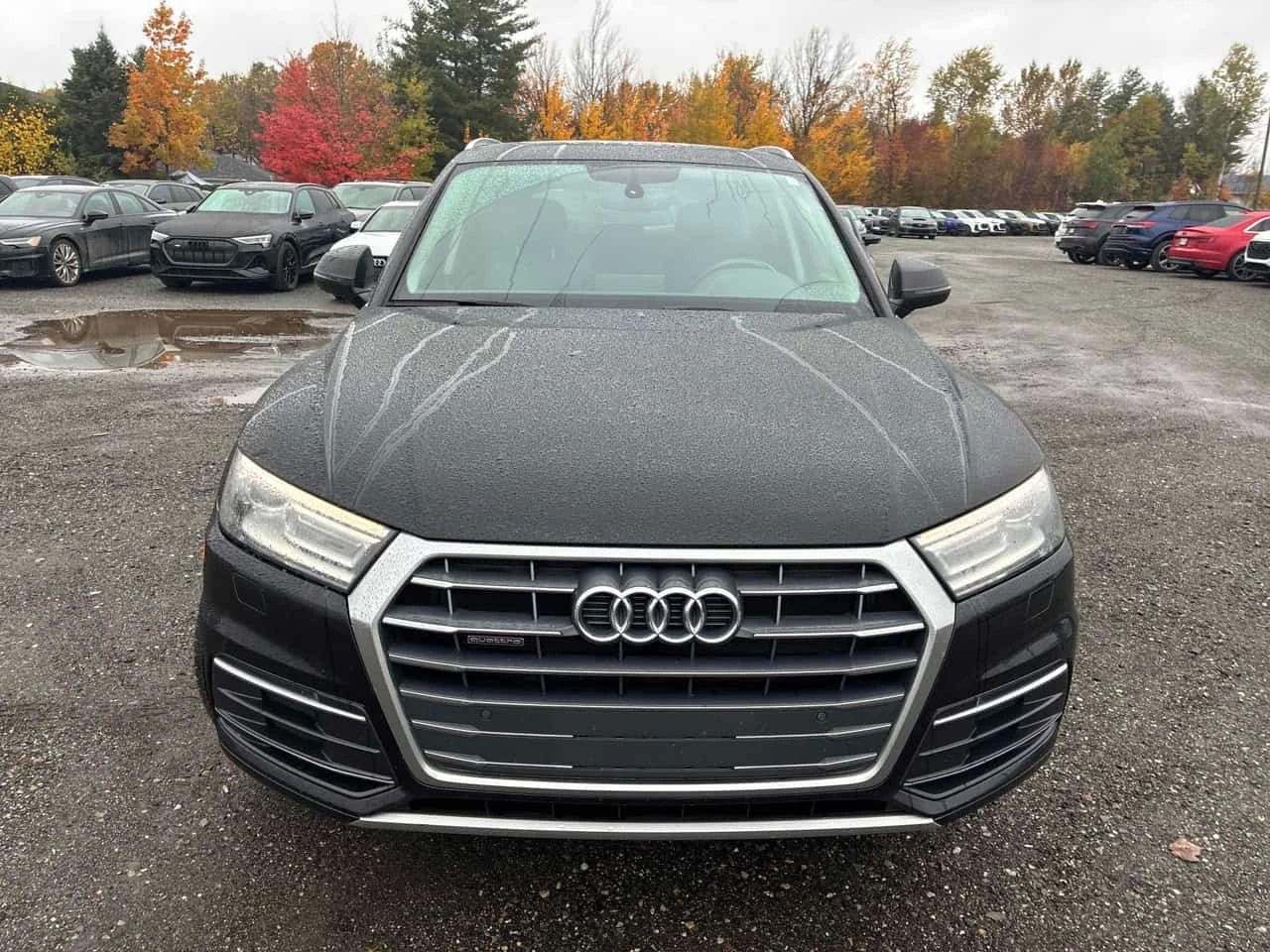 Audi Q5 Progressiv / Carfax / ����������  | Mobile.bg � ����������� 6