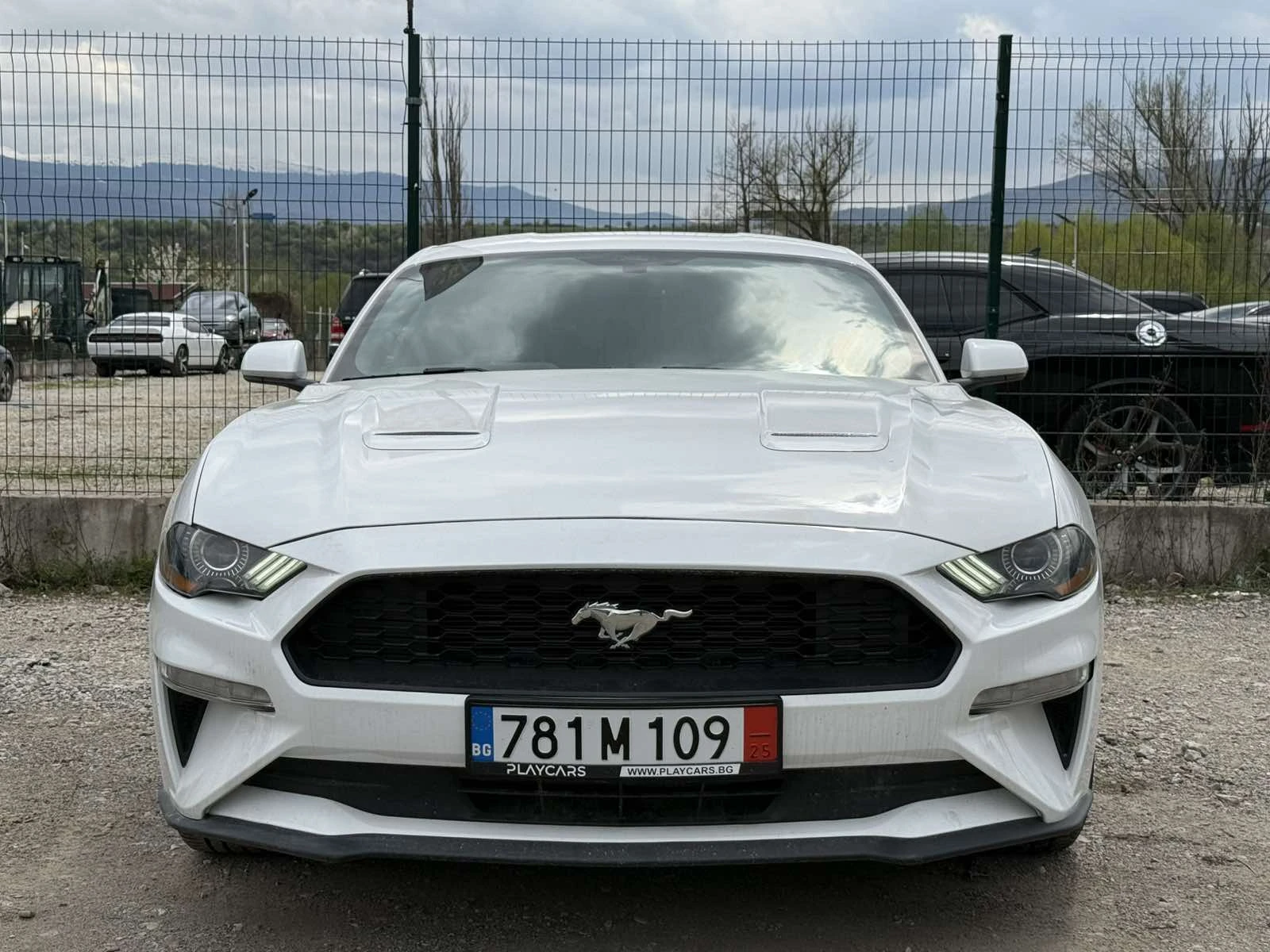 Ford Mustang FACE* 2.3ECOBOOST* NAVI* РЕАЛНИ КМ!, снимка 2 - Автомобили и джипове - 54337817