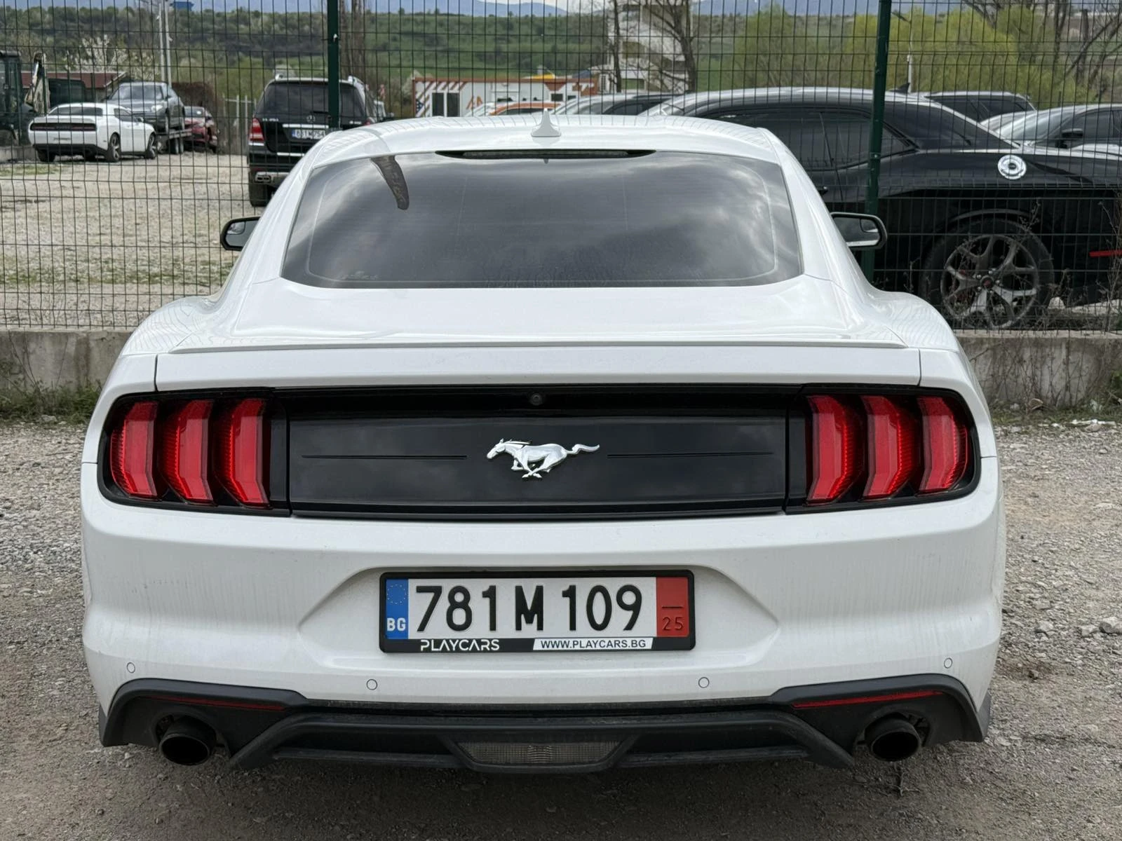 Ford Mustang FACE* 2.3ECOBOOST* NAVI* РЕАЛНИ КМ!, снимка 5 - Автомобили и джипове - 54337817
