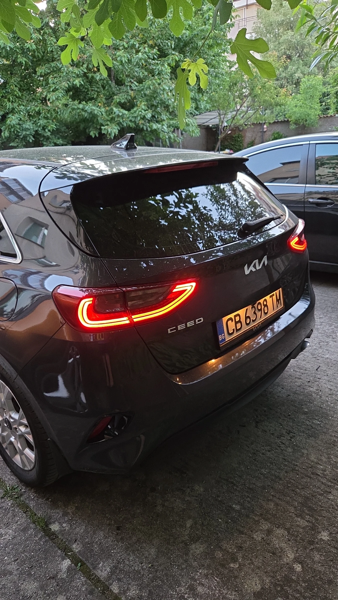 Kia Ceed 1.5T, снимка 7 - Автомобили и джипове - 55082646