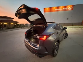 Lexus NX 450 h+ Executive E-FOUR Germany НАЛИЧЕН , снимка 8