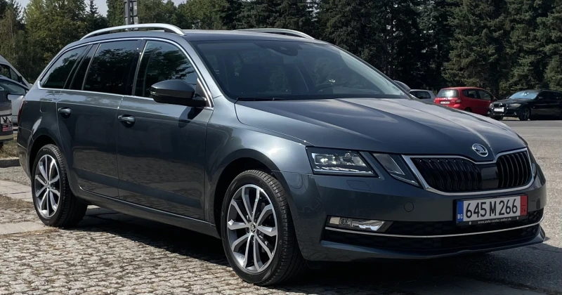 Skoda Octavia 1.6 TDI/116 PS/DSG 7, снимка 3 - Автомобили и джипове - 47425049