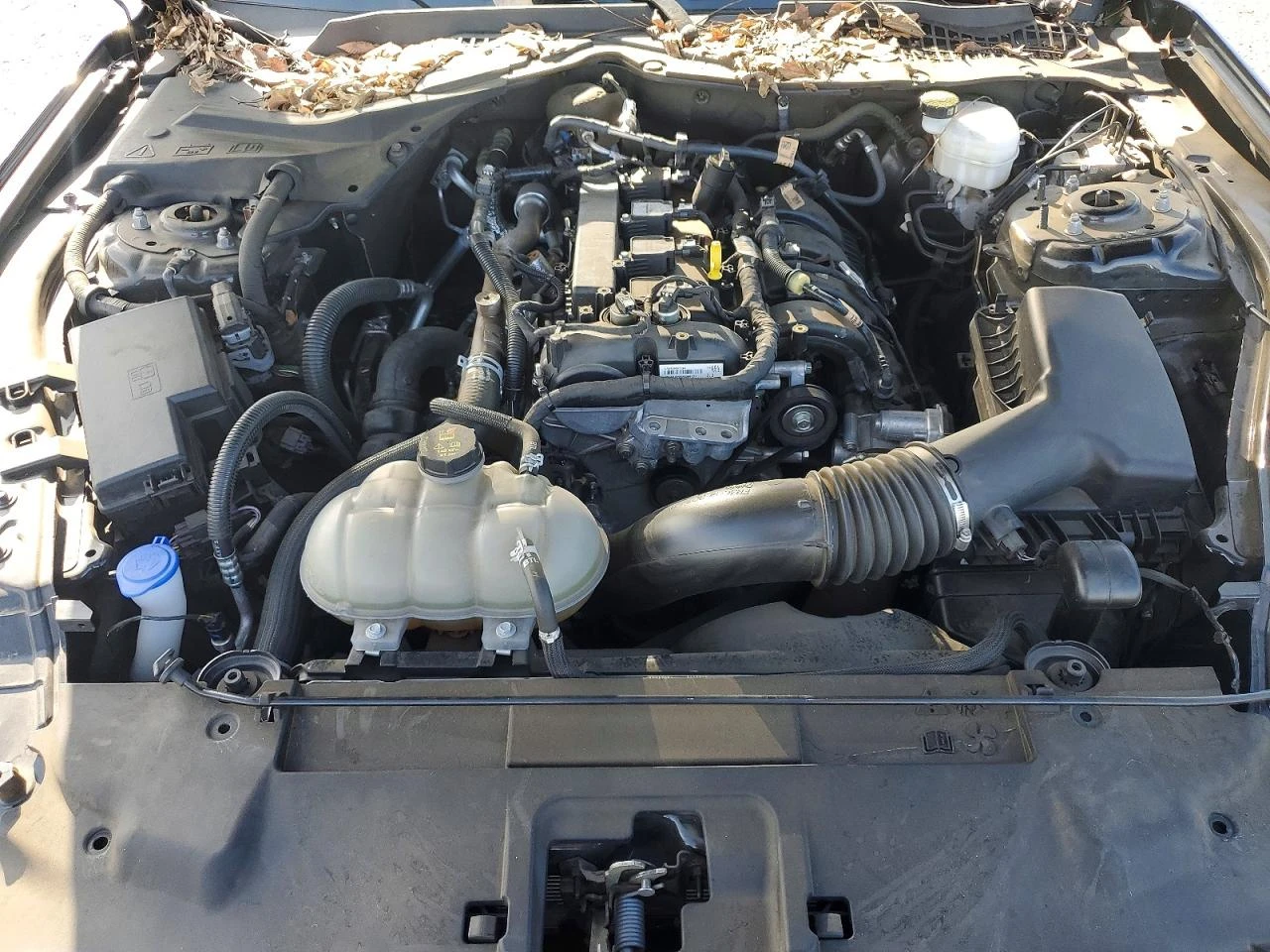 Ford Mustang ECOBOOST PREMIUM FASTBACK| КОЖА| ГОЛЯМА НАВИГАЦИЯ, снимка 11 - Автомобили и джипове - 53726870