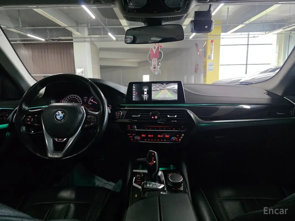 BMW 520 Luxury, снимка 11 - Автомобили и джипове - 54564141