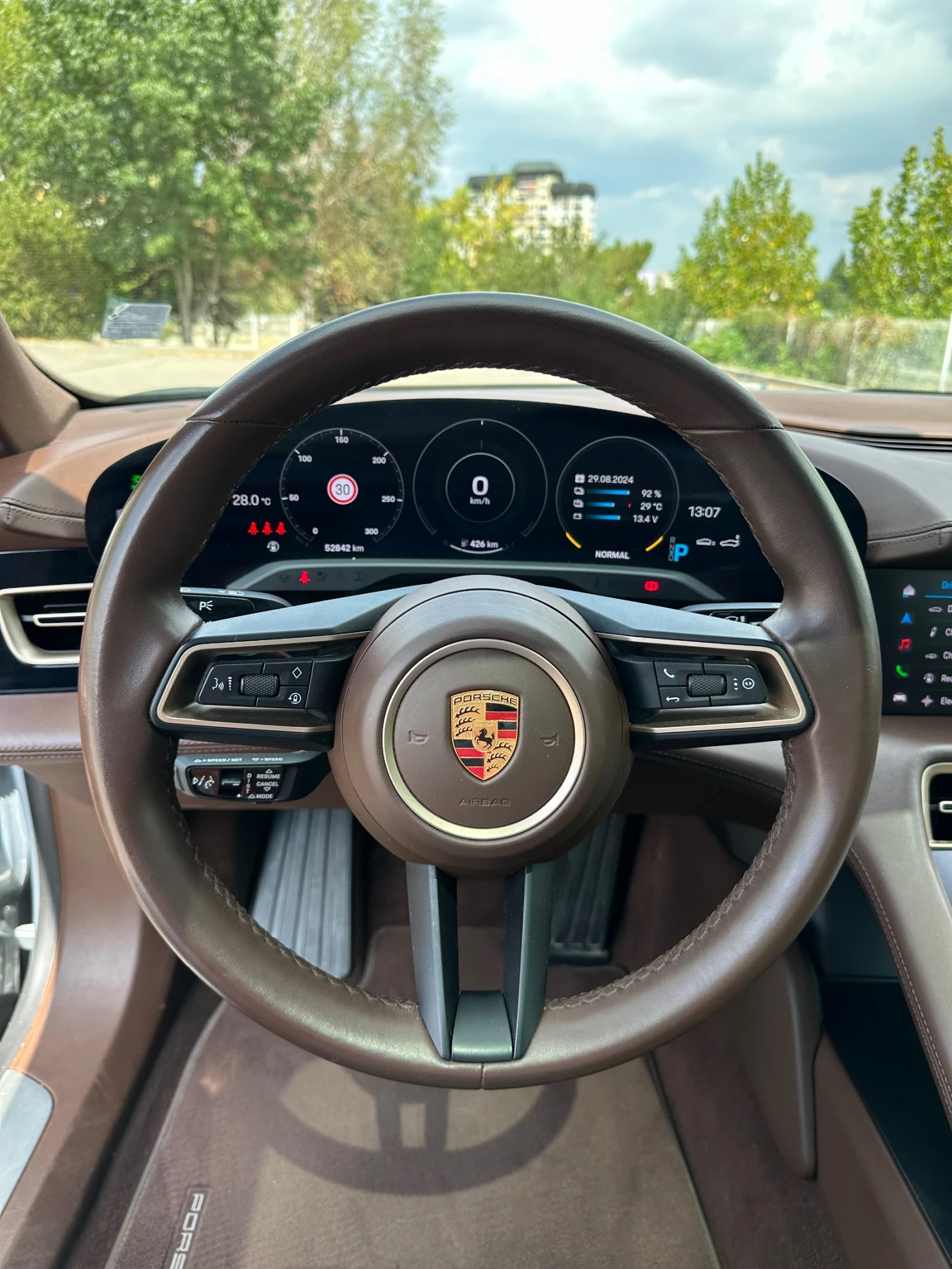 Porsche Taycan Performance Carbon Гаранционен Масаж - изображение 8