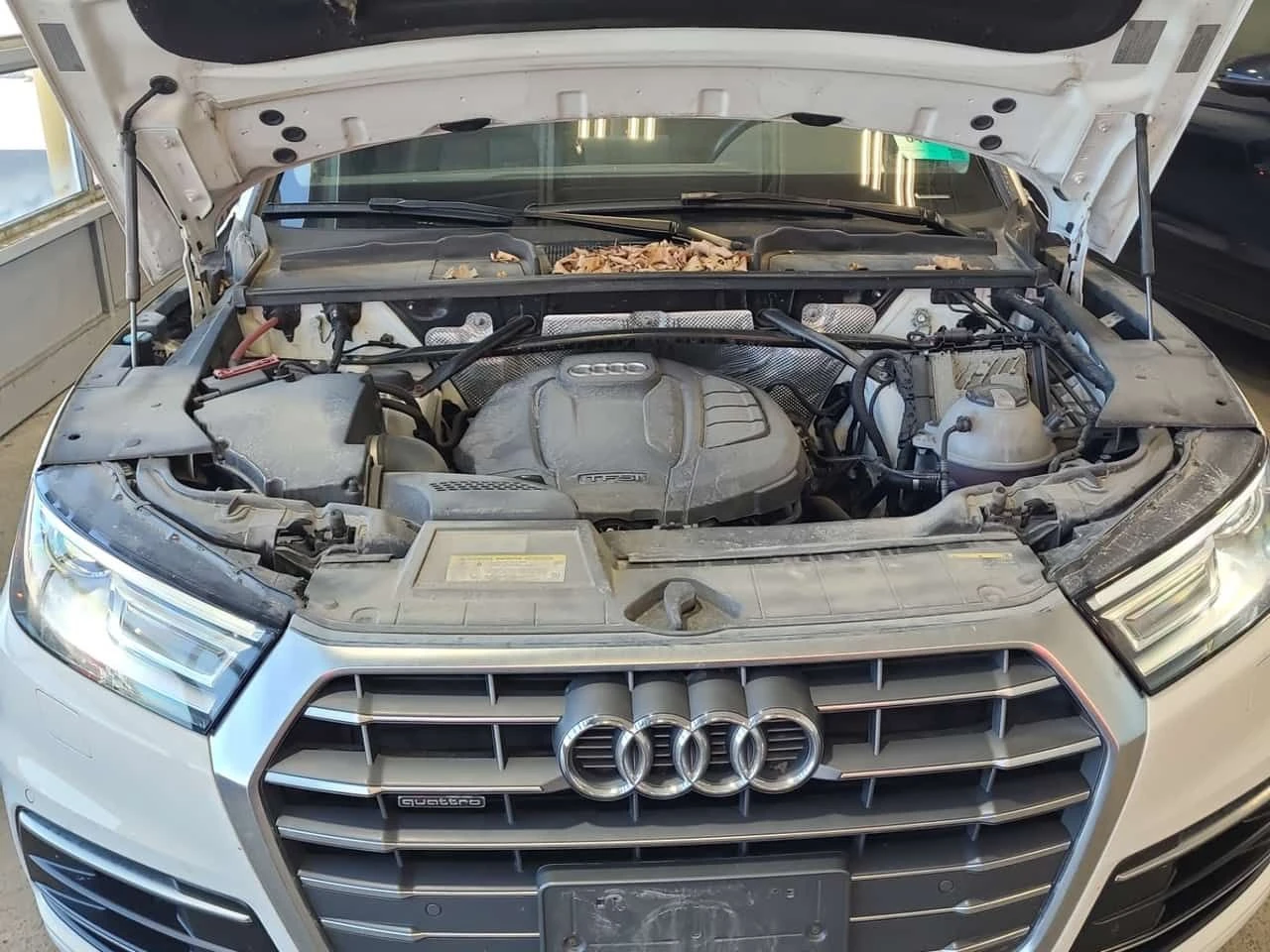 Audi Q5 * CARFAX* 1 ����������* 2 �����* ��������*  | Mobile.bg � ����������� 16