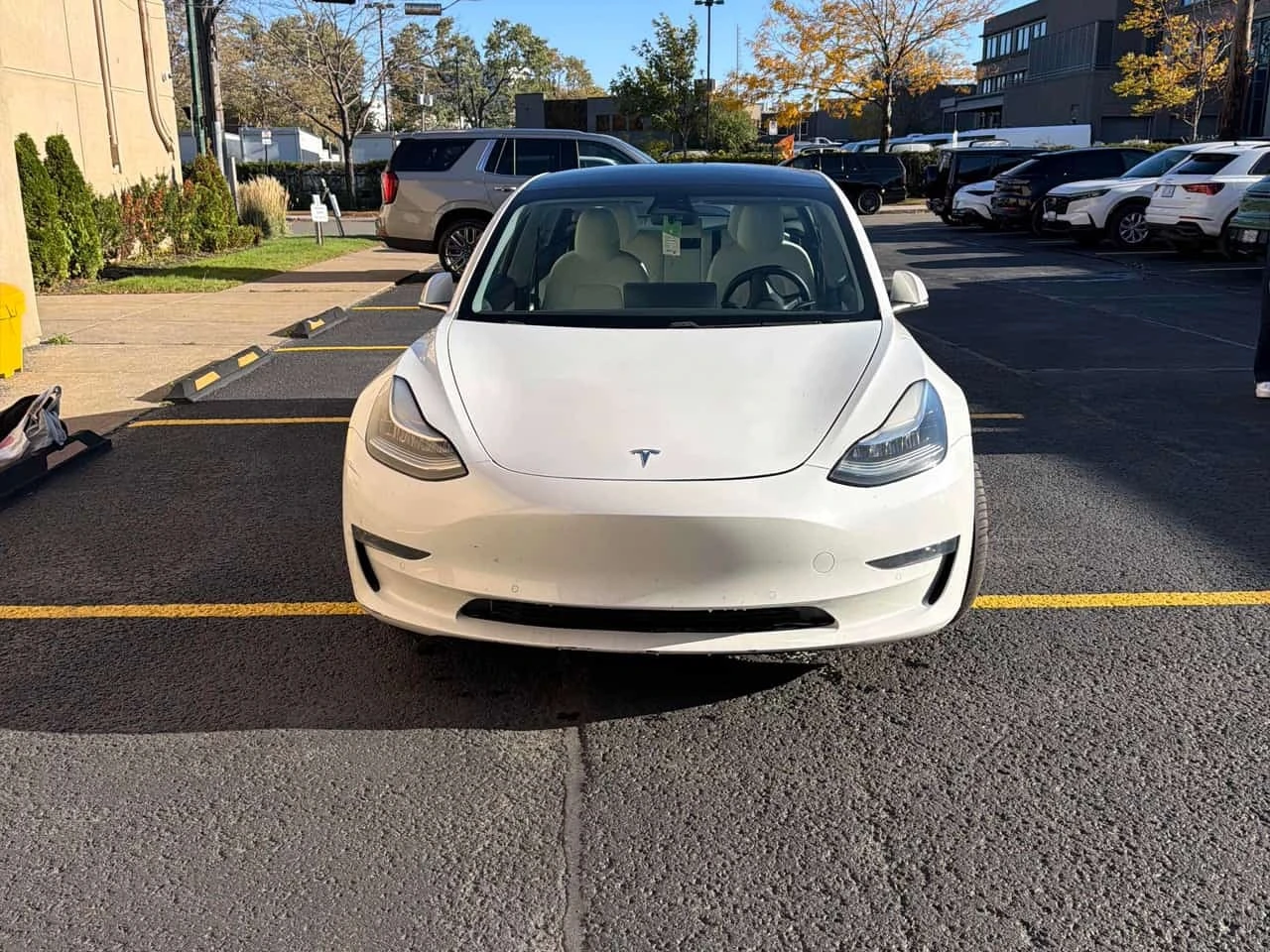 Tesla Model 3 * Long Range * CARFAX * ����� �� ����������� | Mobile.bg � ����������� 6