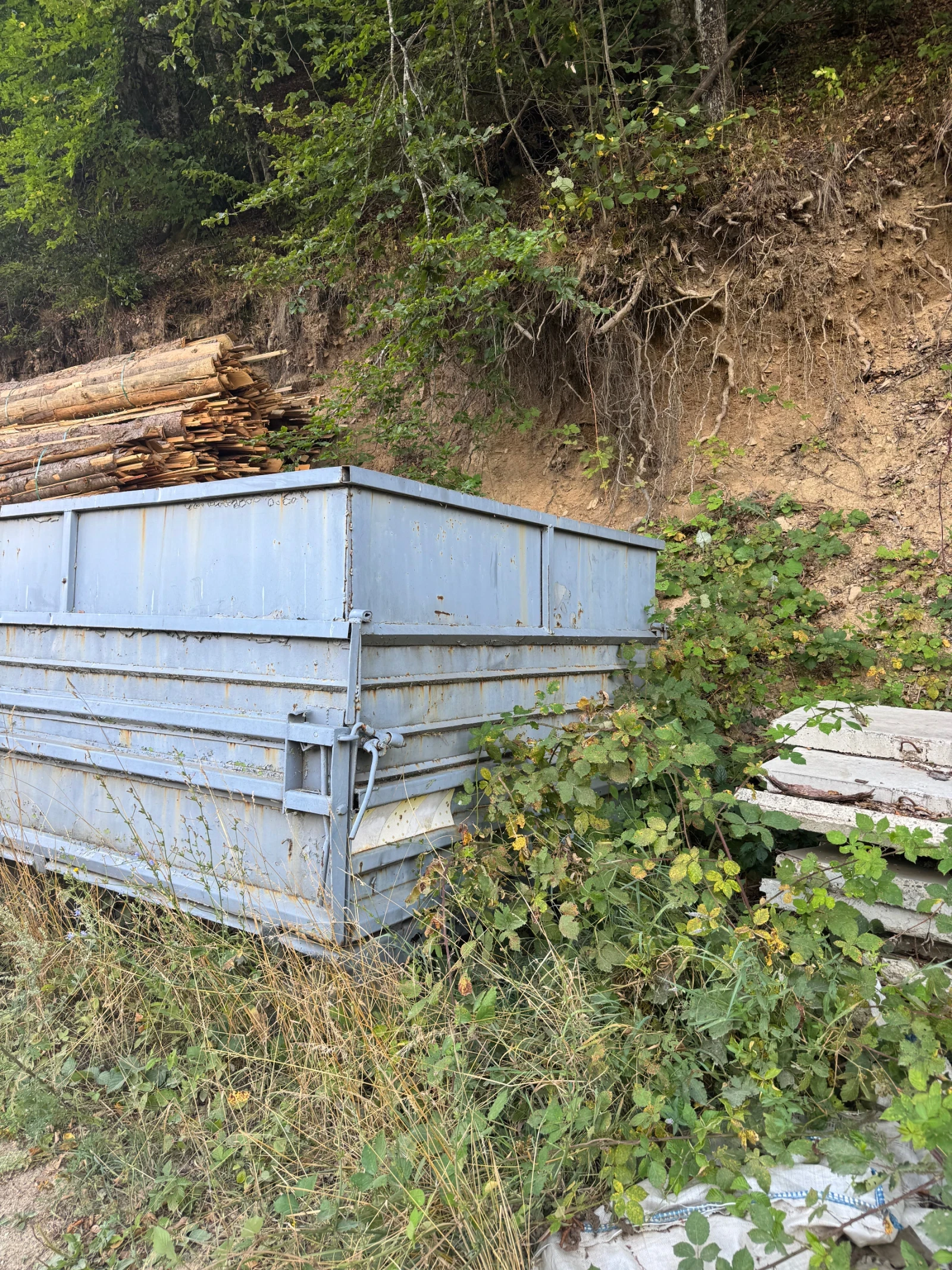 Ifa L  - изображение 10