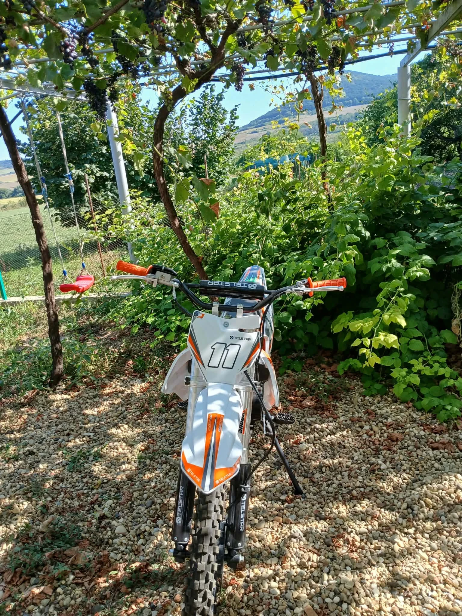 Telstar Dirt Bike