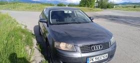 Audi A3 8P, снимка 1