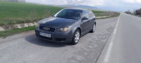 Audi A3 8P, снимка 7