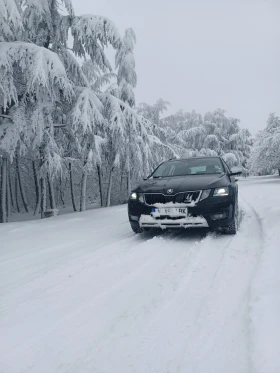 Skoda Octavia Scout, снимка 1 — Bazar.bg Skoda Octavia Scout, снимка 1