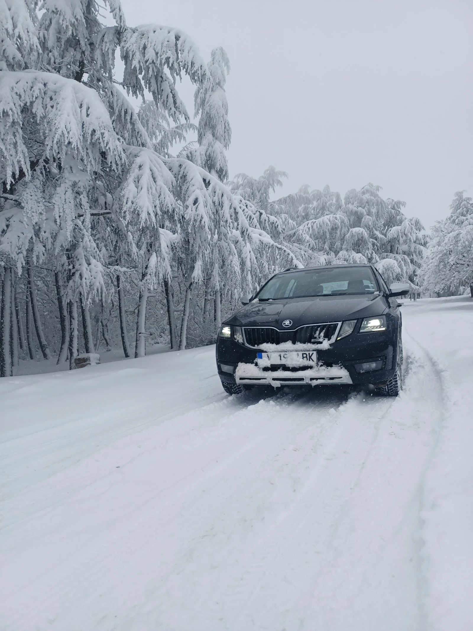 Skoda Octavia Scout, снимка 1