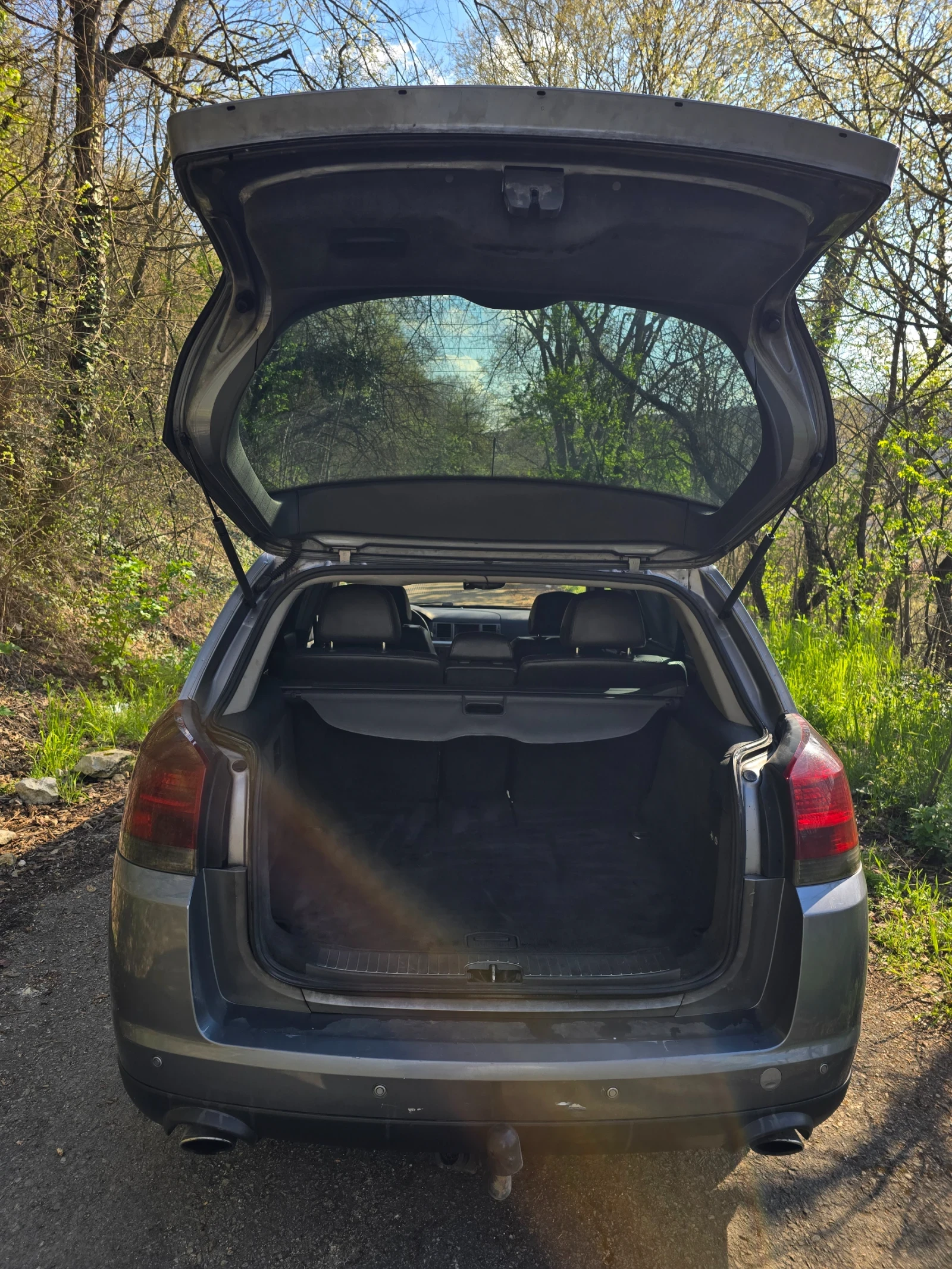 Opel Signum 3.0 CDTI V6, снимка 10 - Автомобили и джипове - 54238023