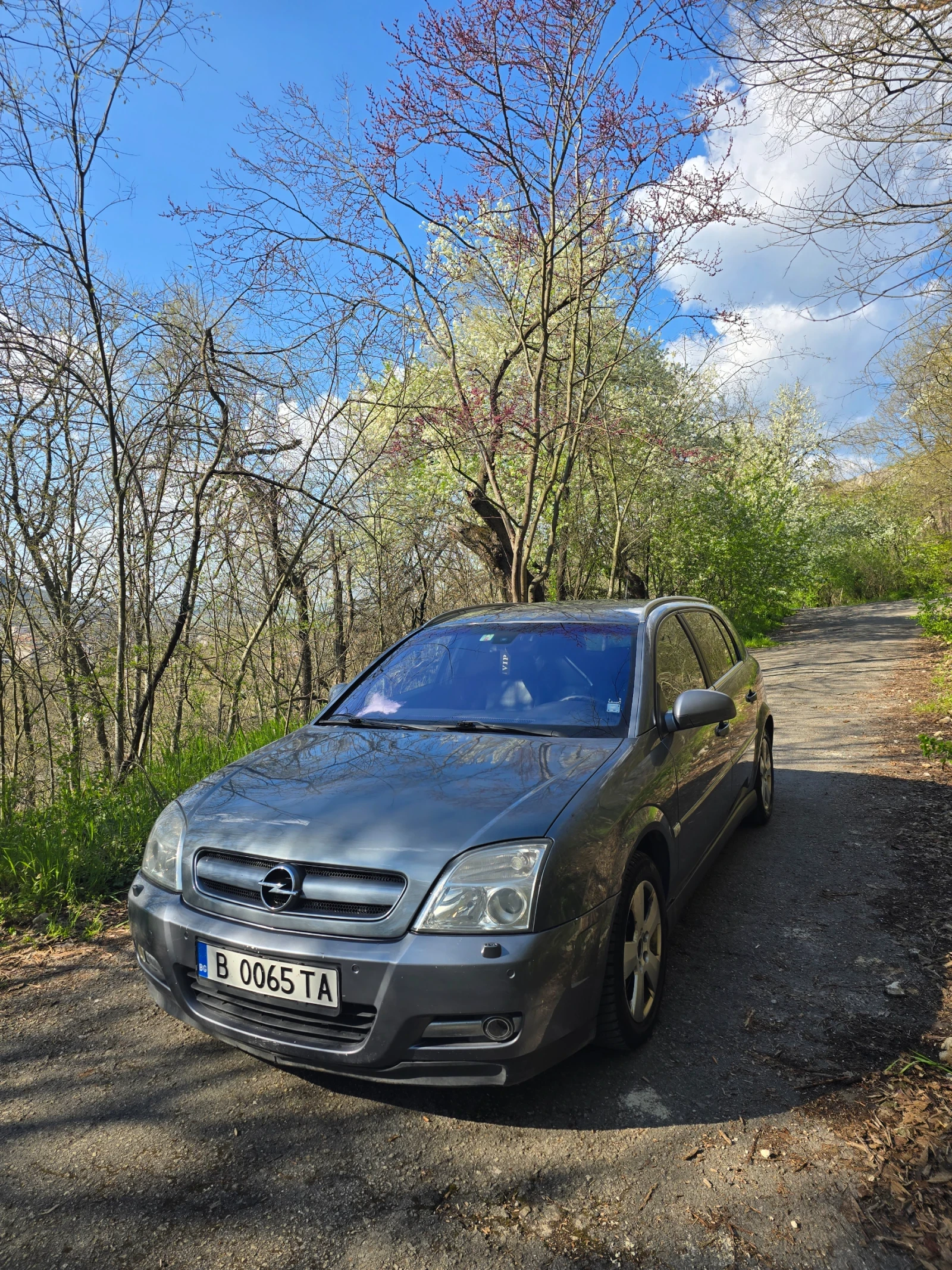 Opel Signum 3.0 CDTI V6, снимка 3 - Автомобили и джипове - 54238023