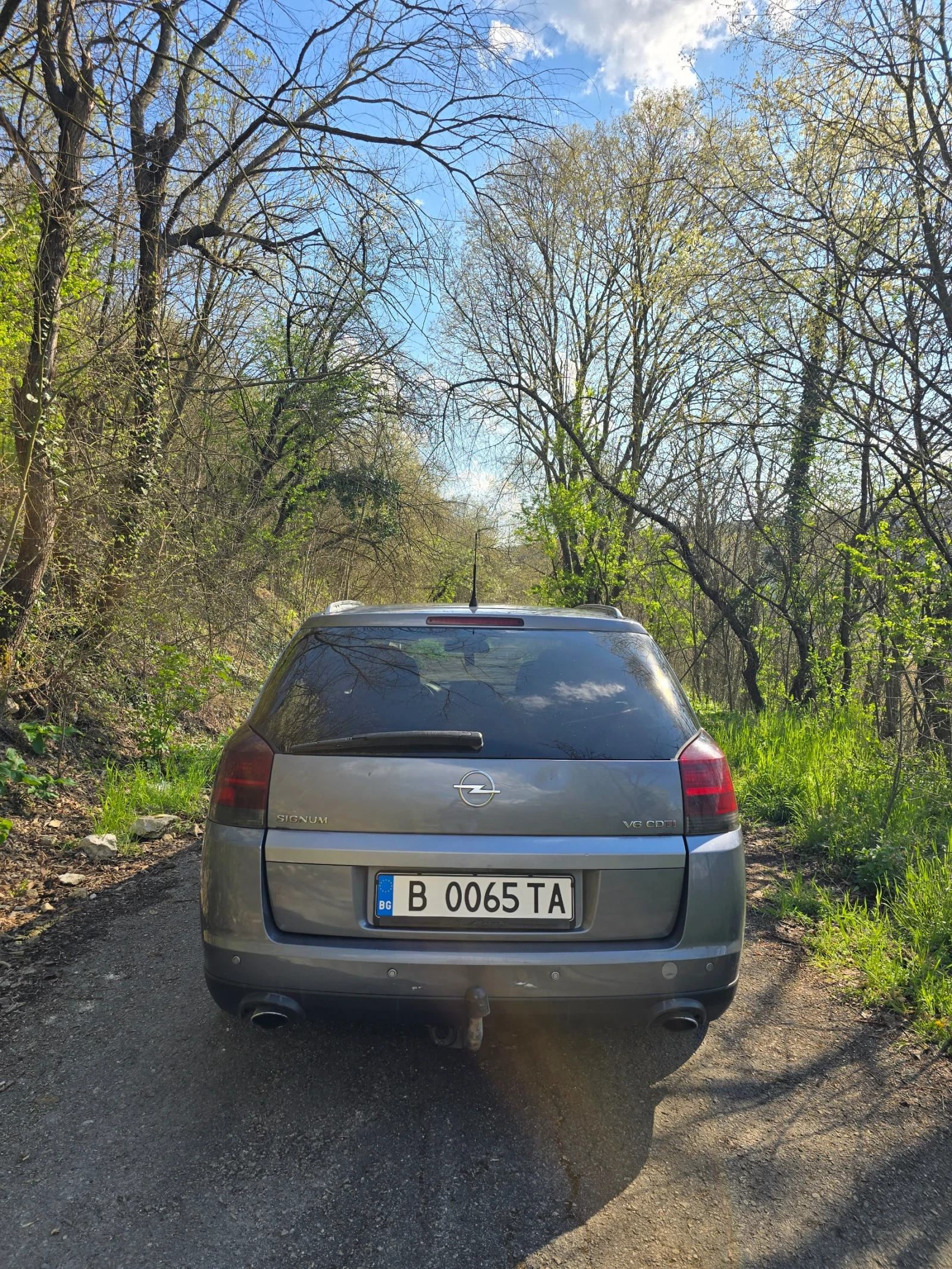 Opel Signum 3.0 CDTI V6, снимка 4 - Автомобили и джипове - 54238023