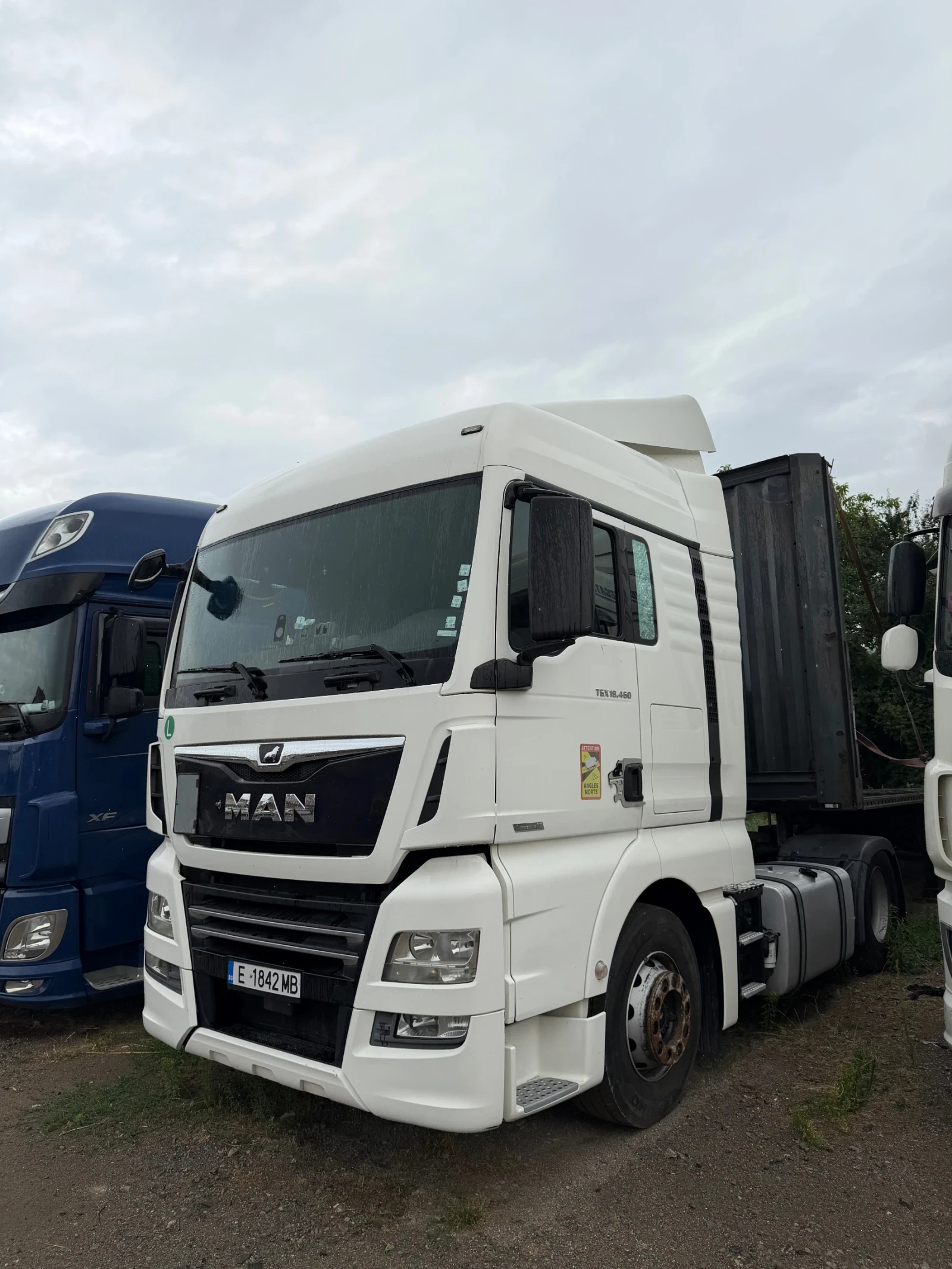 Man Tgx 460