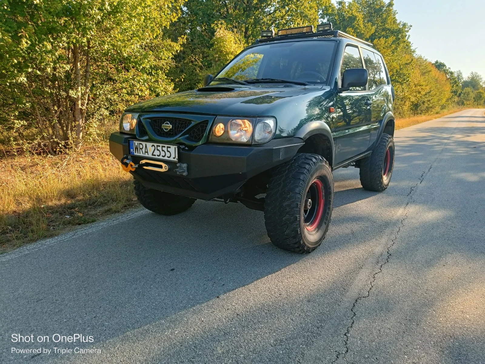 Nissan Terrano | Mobile.bg   14