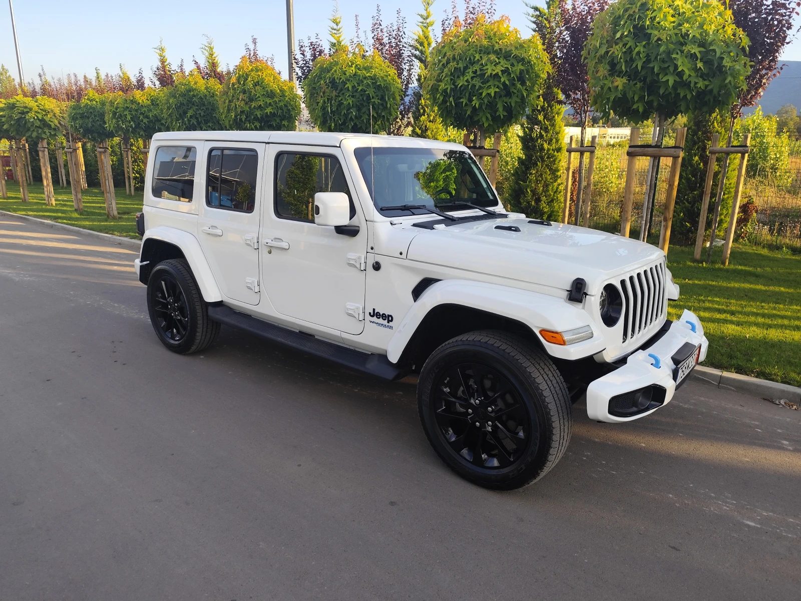 Jeep Wrangler 2.0 Elektric - изображение 4