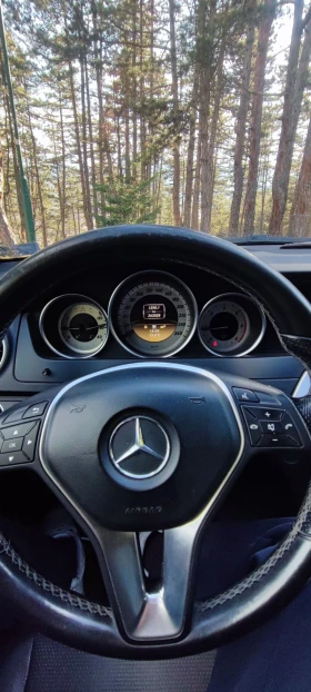 Mercedes-Benz C 220 BLUEEF | Mobile.bg    13